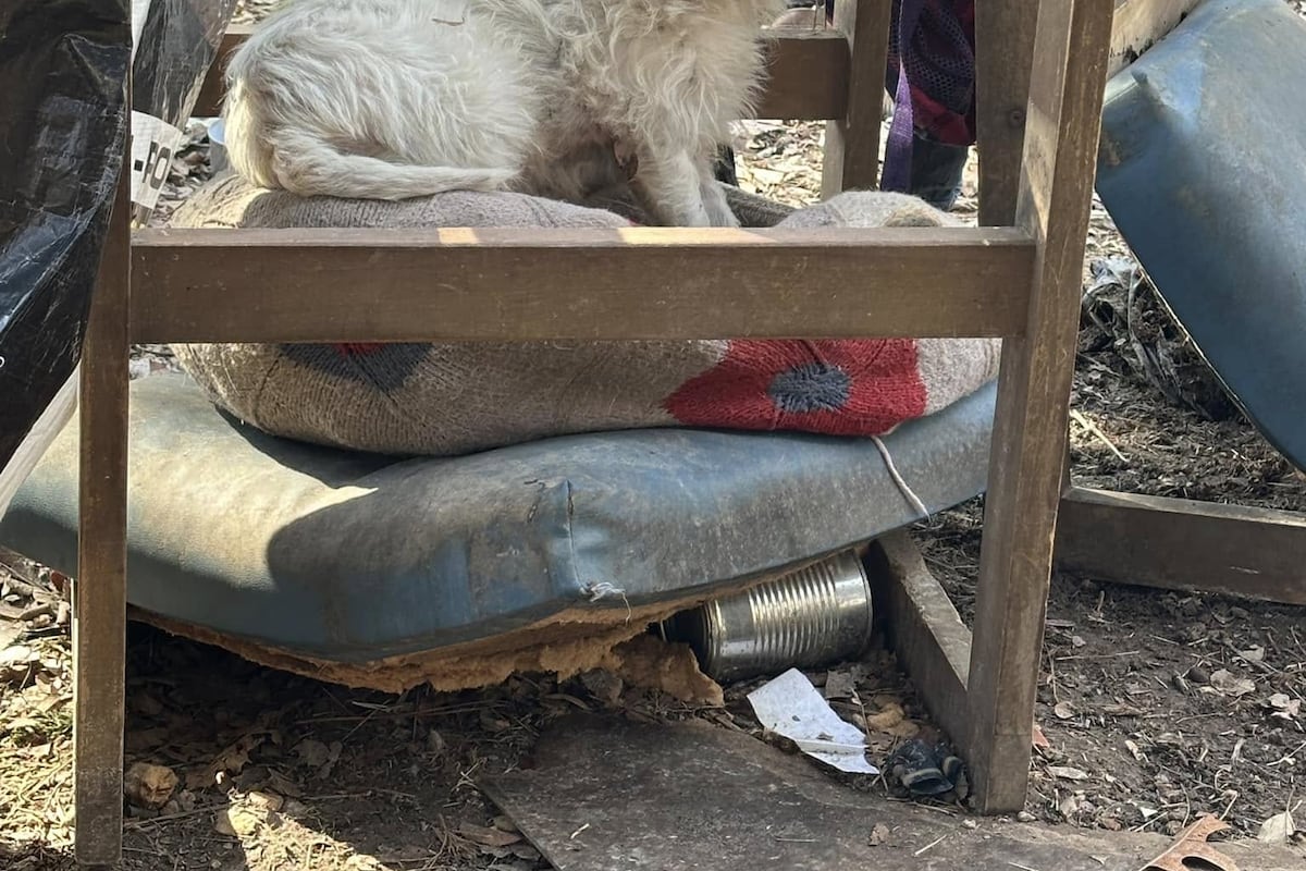 preloaded gallery image