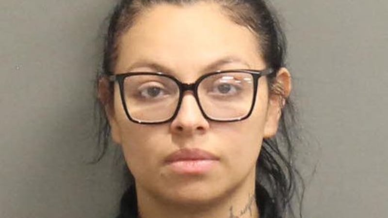 Lesdia Karina Méndez Ávila acusada por la policía de Metrio Nashville de agresión y violencia...