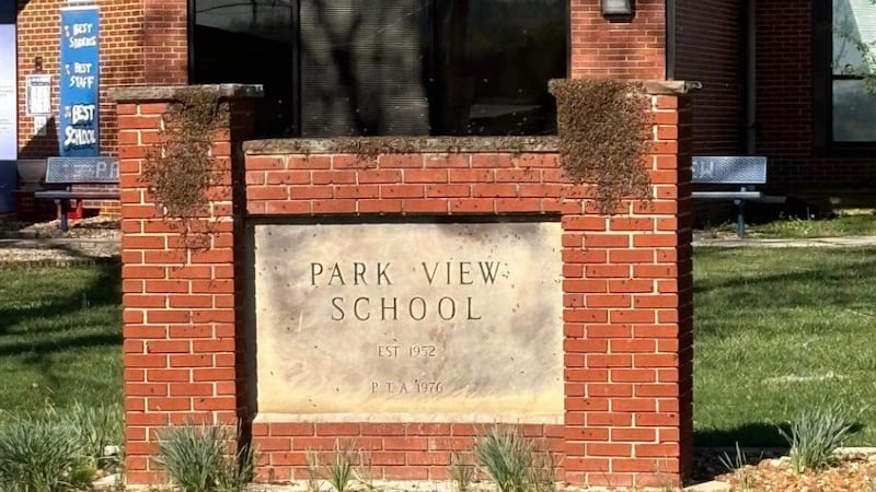 Miles de abejas invaden escuela en Tennessee