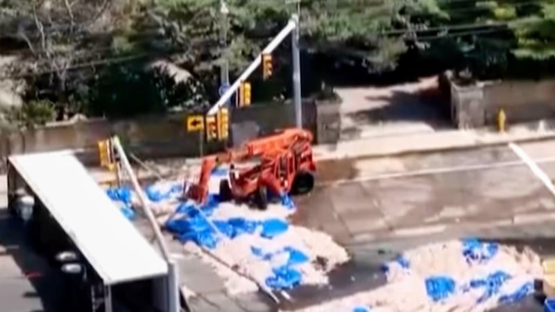 En esta imagen tomada con un dron, trabajadores recogen calamares de una calle, el domingo 16...