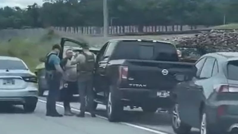 Multiple people have reportedly been detained by Immigrations and Customs Enforcement agents...