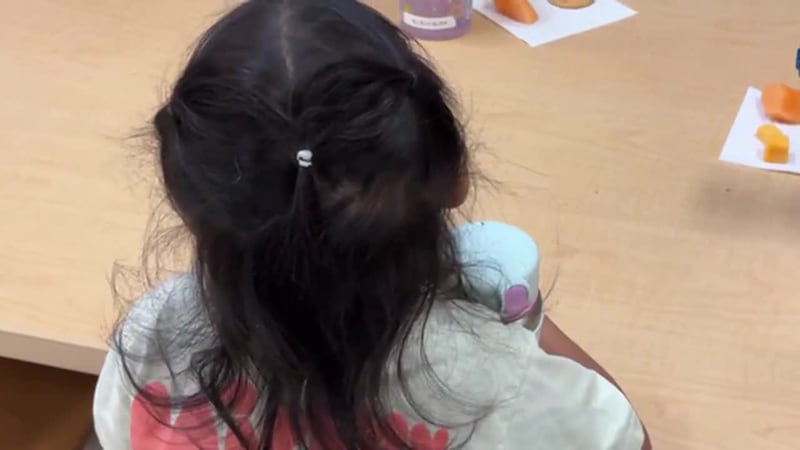 Tras anuncio del gobierno de congelar fondos para cuidado infantil en algunos estados, padres...