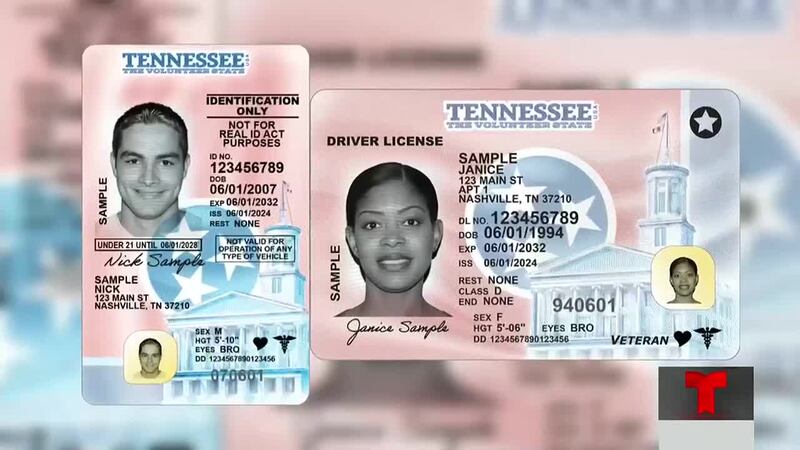 DOSHS presentó los nuevos permisos de conducir y tarjetas de identificación.